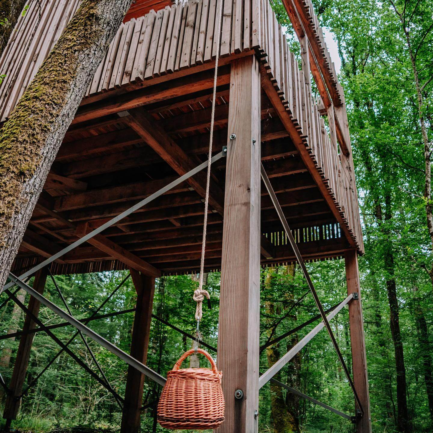 240571621_573493954063638_5125155245197282551_n